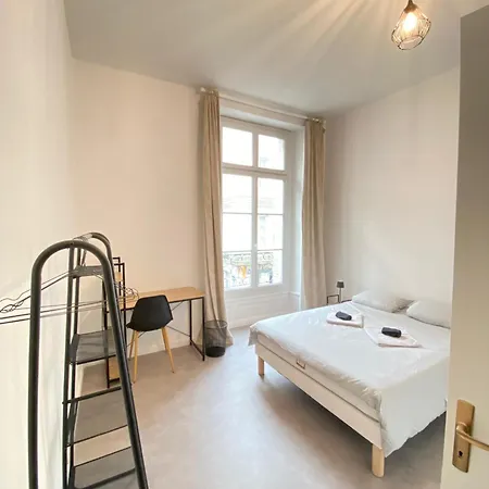 Privilege - 4 - Coeur D'angers, Spacieux Et Elegant Apartment