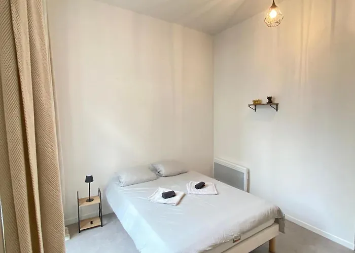 Appartamento Privilège - 4 - Coeur D'angers, Spacieux Et élégant *