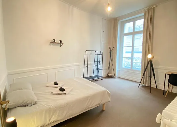 Appartamento Privilège - 4 - Coeur D'angers, Spacieux Et élégant *